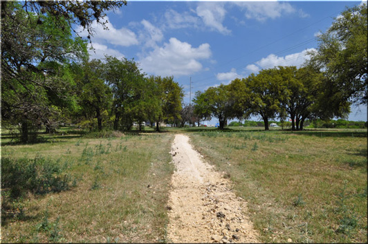 finished Oak Wilt trenc